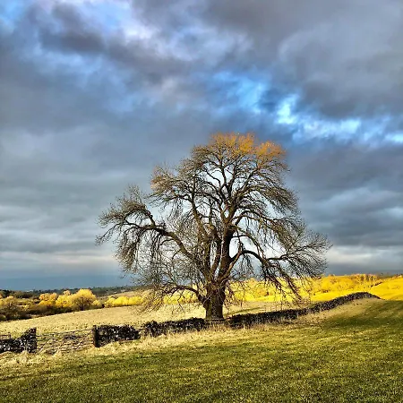 Holiday home On The Hill *